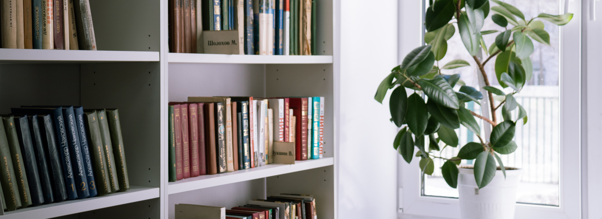 5 Ideas para Decorar las Estanterías de tu Salón