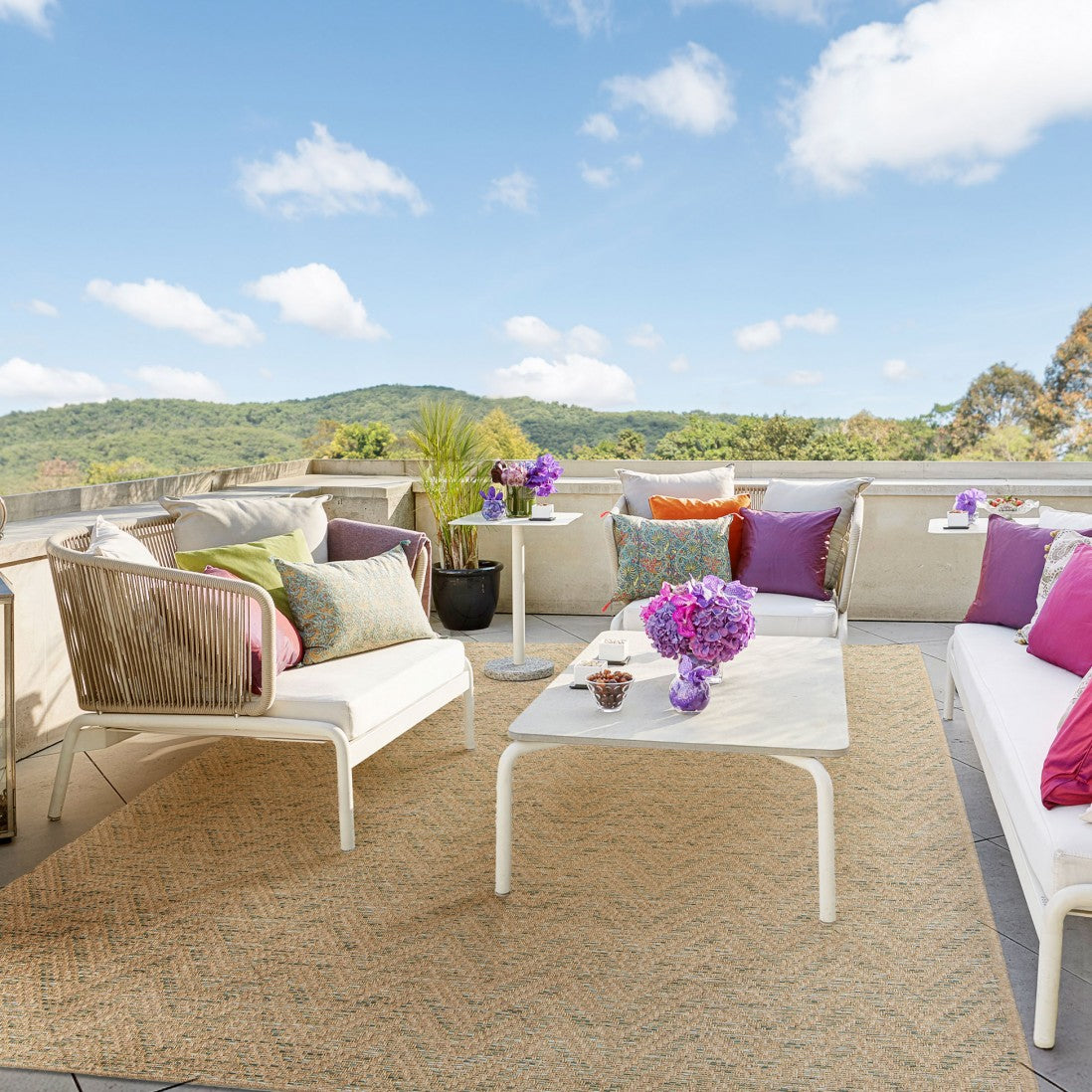 Alfombra Interior o Exterior Belize D