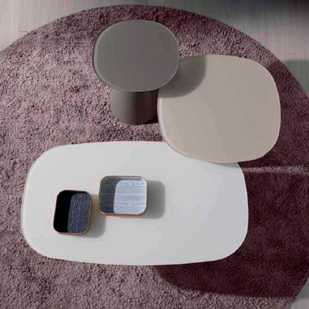 Mesa de Centro de Diseño Tapa de Cristal Mate