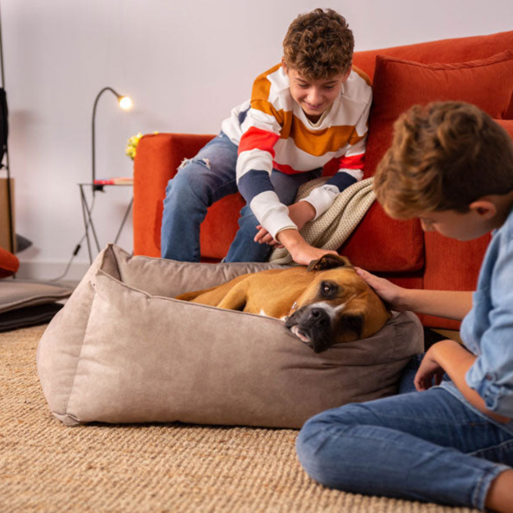 Cama para Mascotas modelo Mia 10