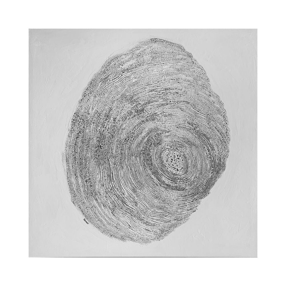 Obra SLS-DNTTY