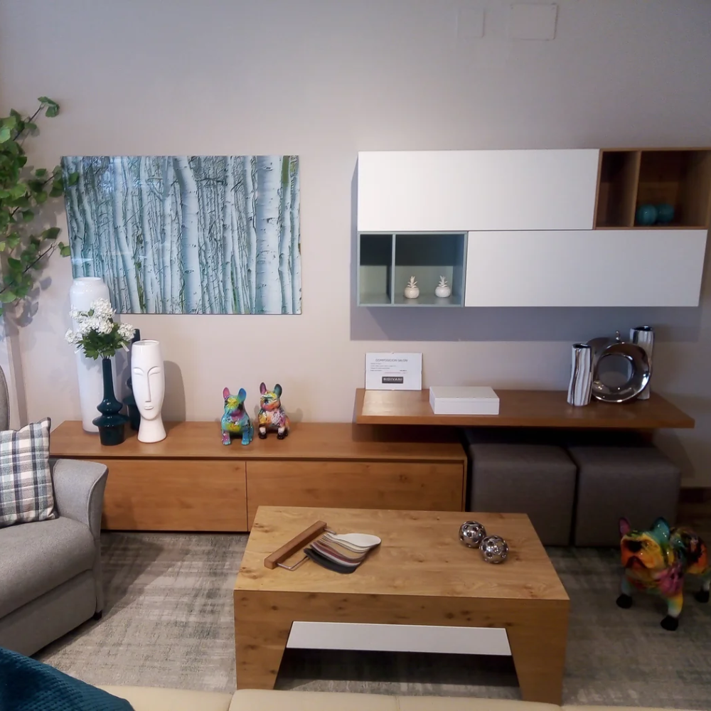 Modular de diseño TV y almacenaje