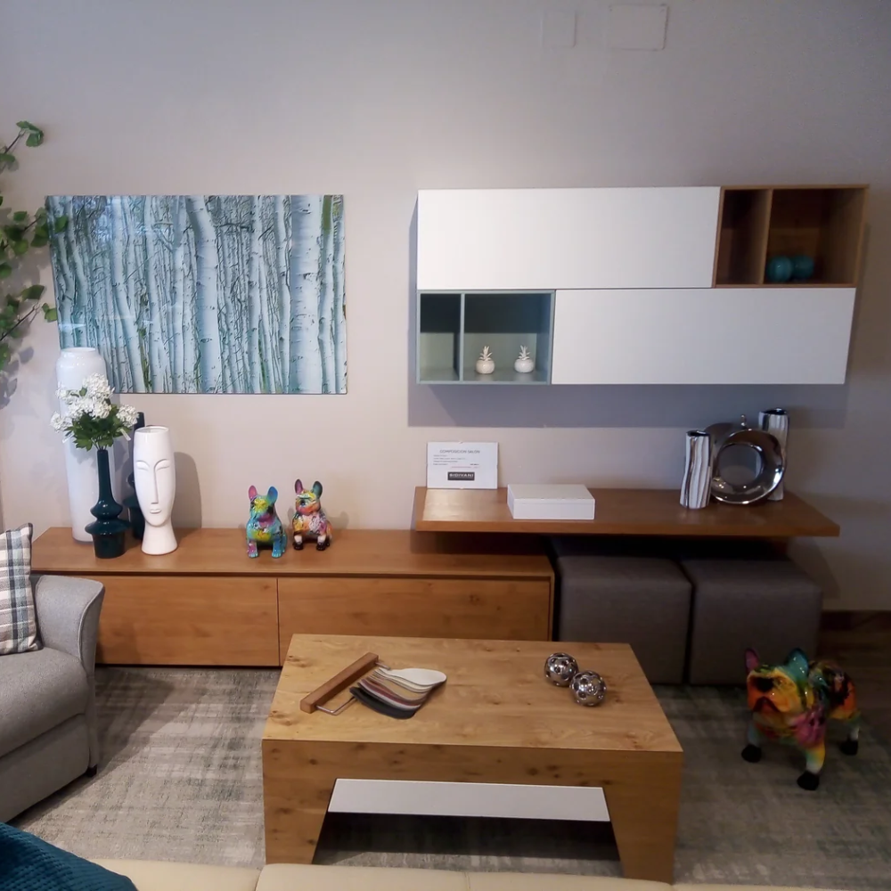 Modular de diseño TV y almacenaje