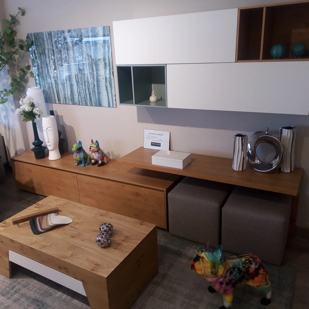 Modular de diseño TV y almacenaje