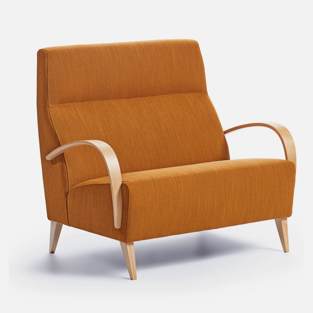 Sofá de 2 plazas de diseño nórdico modelo ANYZ
