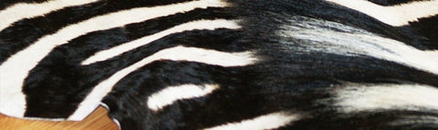 Alfombra de diseño en piel de Cebra modelo WILD